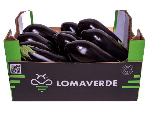 Lomaverde