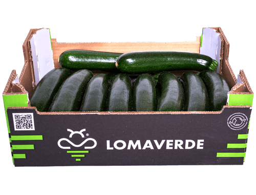 Lomaverde Calabacín