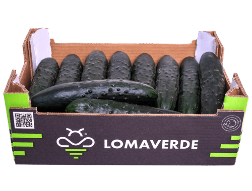 Lomaverde Pepino