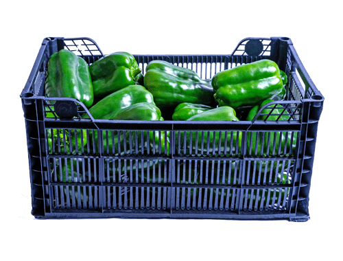 Pimiento