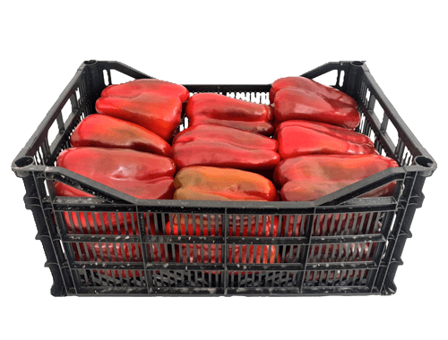 Pimiento Caja
