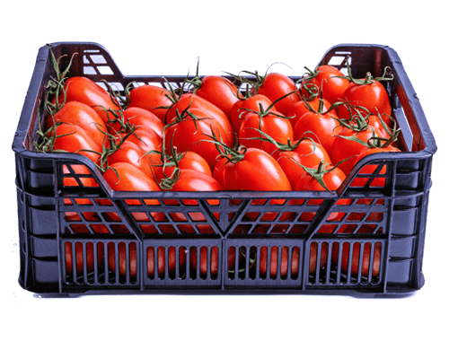 Tomate
