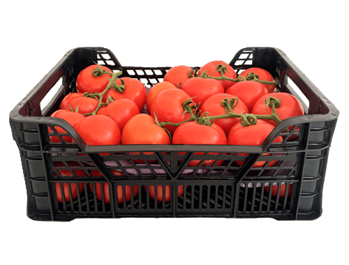 Tomate caja